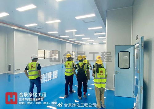 金山高新區生物醫藥新工廠投用 總投資3.5億元，合景凈化工程公司引領行業新篇章